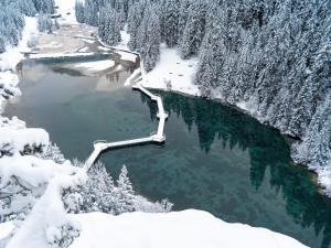 Charmant appartement à Courchevel avec WiFi - 1 chambre - FR-1-613A-44