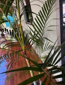 Country house in Fabião 2 to 4 km from Peruacú Park