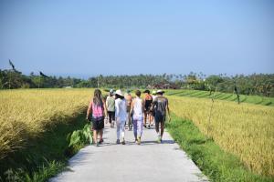 La Balian Villa and Retreat