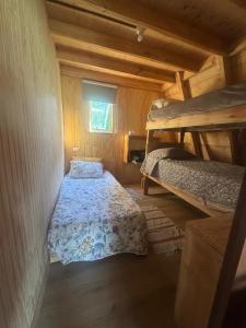 Cabaña Pinos Magicos