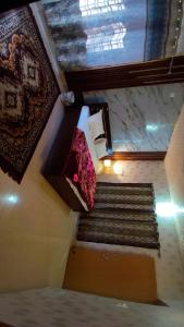 The jungle view guest house