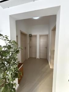 Calypso - 3BR 2BA with Mercury View, Paceville