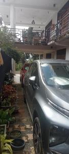 Devil mountain guest