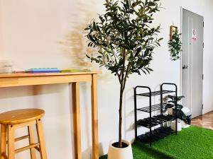 Meturr Guest House Khaosok