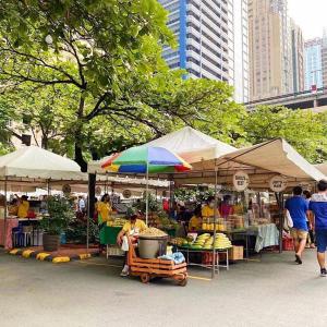 Melscape Lush Residence 1BR Unit