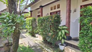 Jepun Bali Homestay Sanur