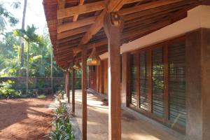 Salt Water Sanctuary