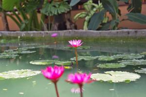 Lanta White Rock Resort