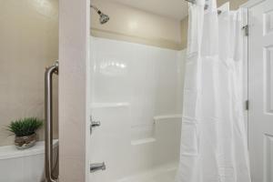 NL A302 Mud Flat Mollys