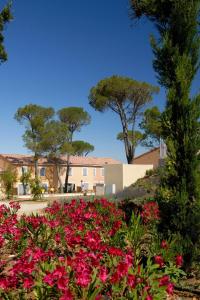 Villages vacances Residence Odalys Le Mas des Vignes : photos des chambres