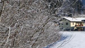 Ferienwohnung Eckschlager