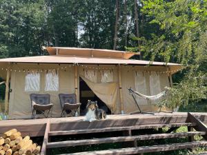 Camp inn Kiyosato GRANDEUR - Vacation STAY 42081v