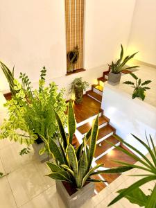Neem Aura Home Stay