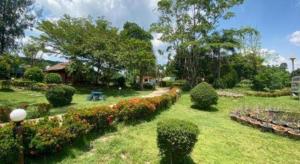 OYO 966 Boss Khaoyai