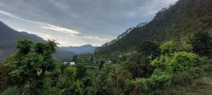Kumaon Home Stay