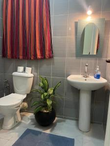 Viva Reef Fully Furnished Suite