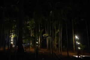 The Pitruchhaya Beach Resort