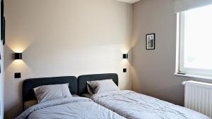 Gîte familial 6 pers balnéo proche Pairi Daiza