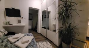 Apartament Pod Orzechem