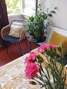 Beachfront penthouse Boho