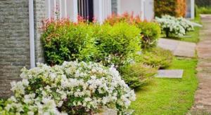 Ocean Breeze Residence