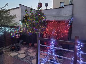 Apartament Pod Orzechem