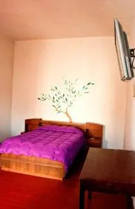 格兰旅馆 - 阿雷基帕