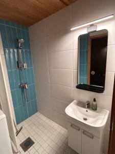 Sappee Peak Cabin - Fire, Snow & Adventure