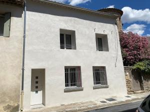 The Provençal orchid