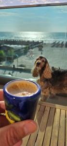 Sea View Mamaia Nord