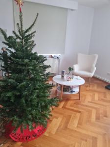 2 rooms Flat - new refurbished - best view - best location