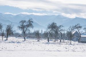 Curte la Munte - charming village house