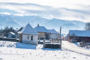 Curte la Munte - charming village house