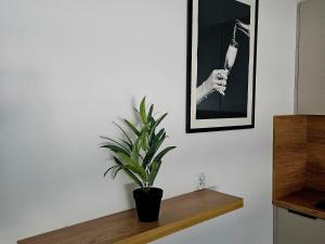 Apartament Studio Centrum