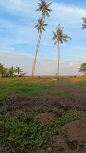 Alhambra Beach Staycation - Bachok