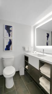 823 I Beautiful King Hotel Room