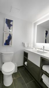 822 I Beautiful King Hotel Room