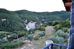 Condado de San Martín