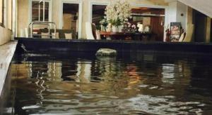 Green World Palace Hotel