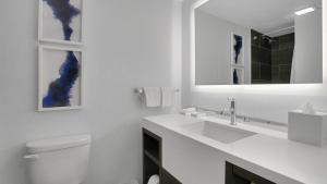 823 I Beautiful King Hotel Room