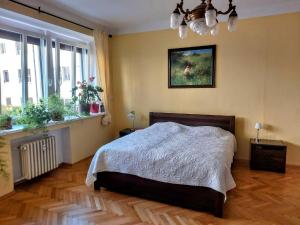 4-room cozy apartment Grosslingova
