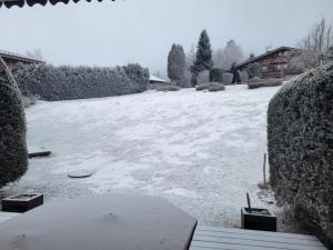 Les Grandes Jorasses 3 - Jardin - Vue massif Mont Blanc