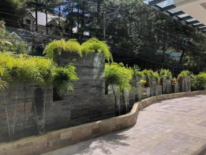 The Plaza Lodge Baguio