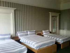 Room #17792146 room in Adelphi Hotel
