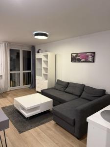 University Apartment