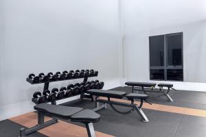 Vetro 11 Studio