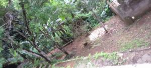 Ubatuba SP casa de Praia