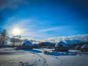 4 Żywioły - całoroczne domki kopułowe w górach