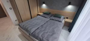 Apartman - Willa Zieleniec