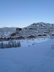 Lodge Cime Bianche - Prato Nevoso